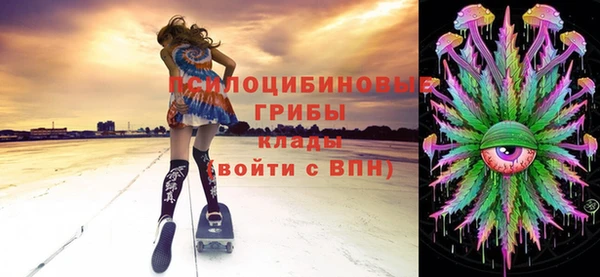 spice Арсеньев