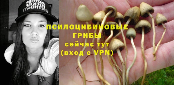 spice Арсеньев